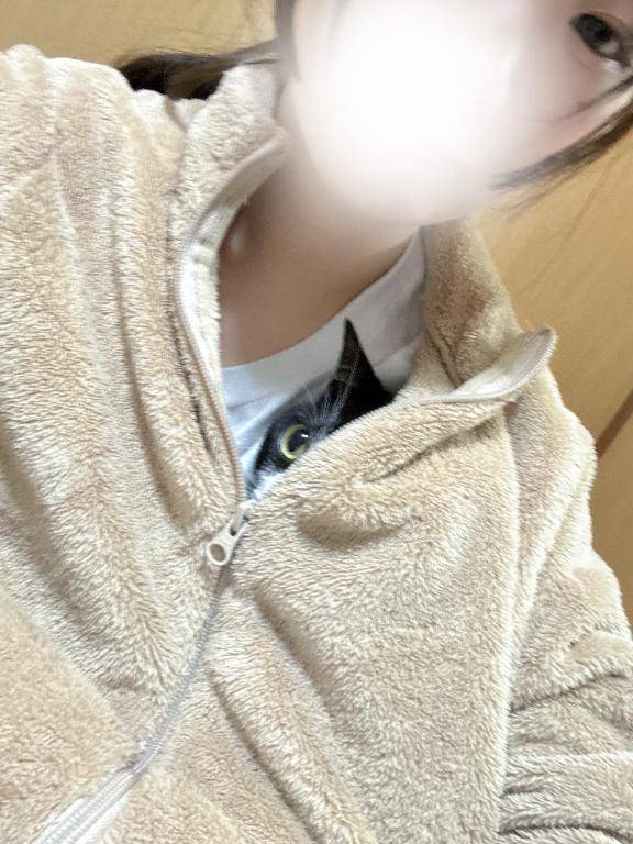 ここpicture