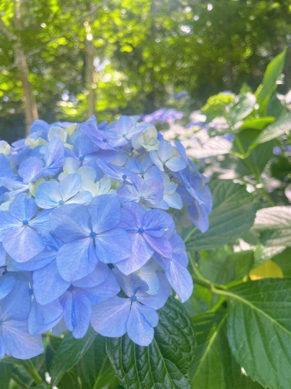 ゆなpicture